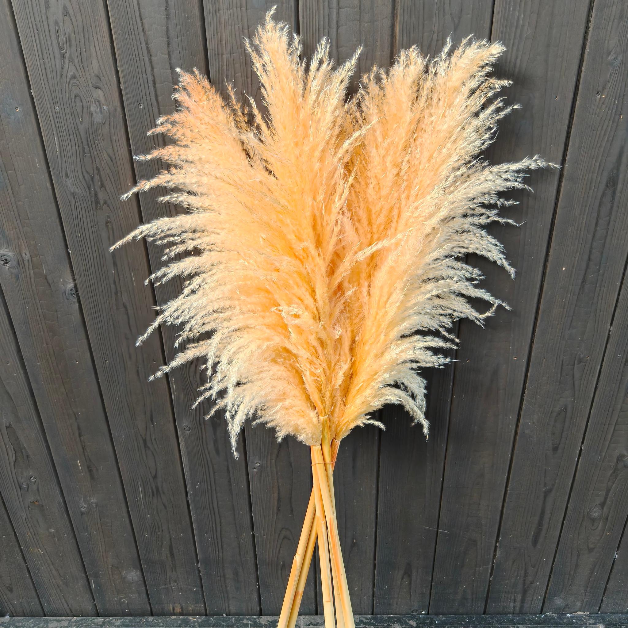 今季！暖色系の秋冬パンパスグラス  新築祝いドライフラワー インテリア ウェディング　即納クリスマス2025 | 5枚目